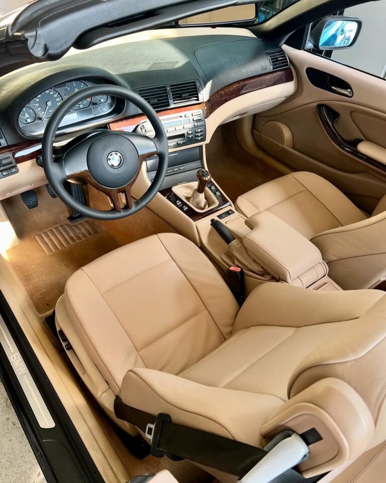 FB_IMG_1743182506232